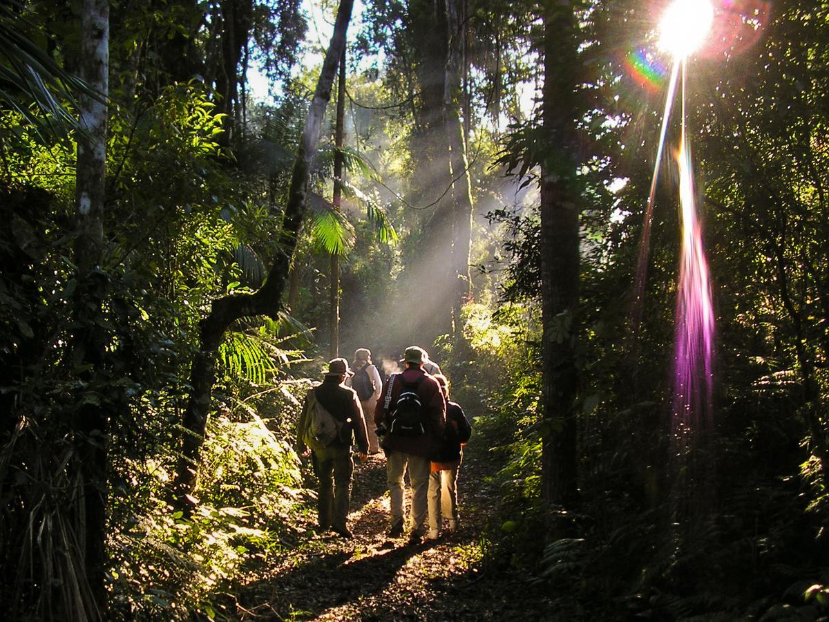 Yacutinga Lodge 푸에르토이과수 외부 사진