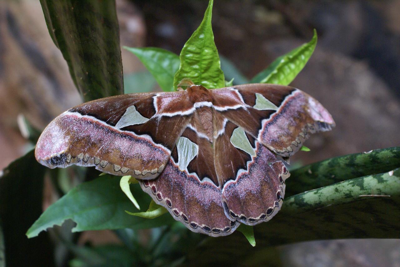 Yacutinga Lodge 푸에르토이과수 외부 사진